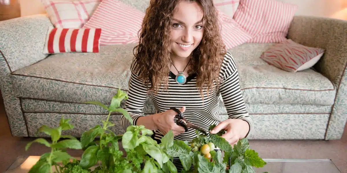 Comment créer son propre potager intérieur en quelques étapes simples – C'est écologique et à la portée de tous !